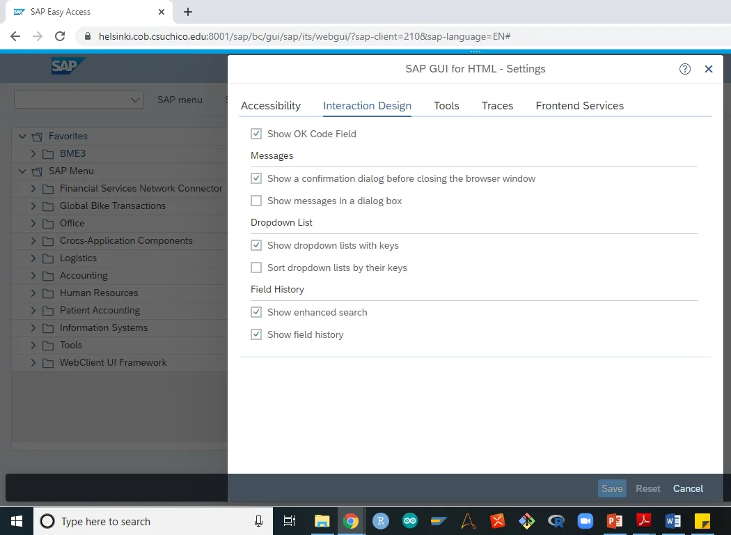 SAP Theme Customization Options