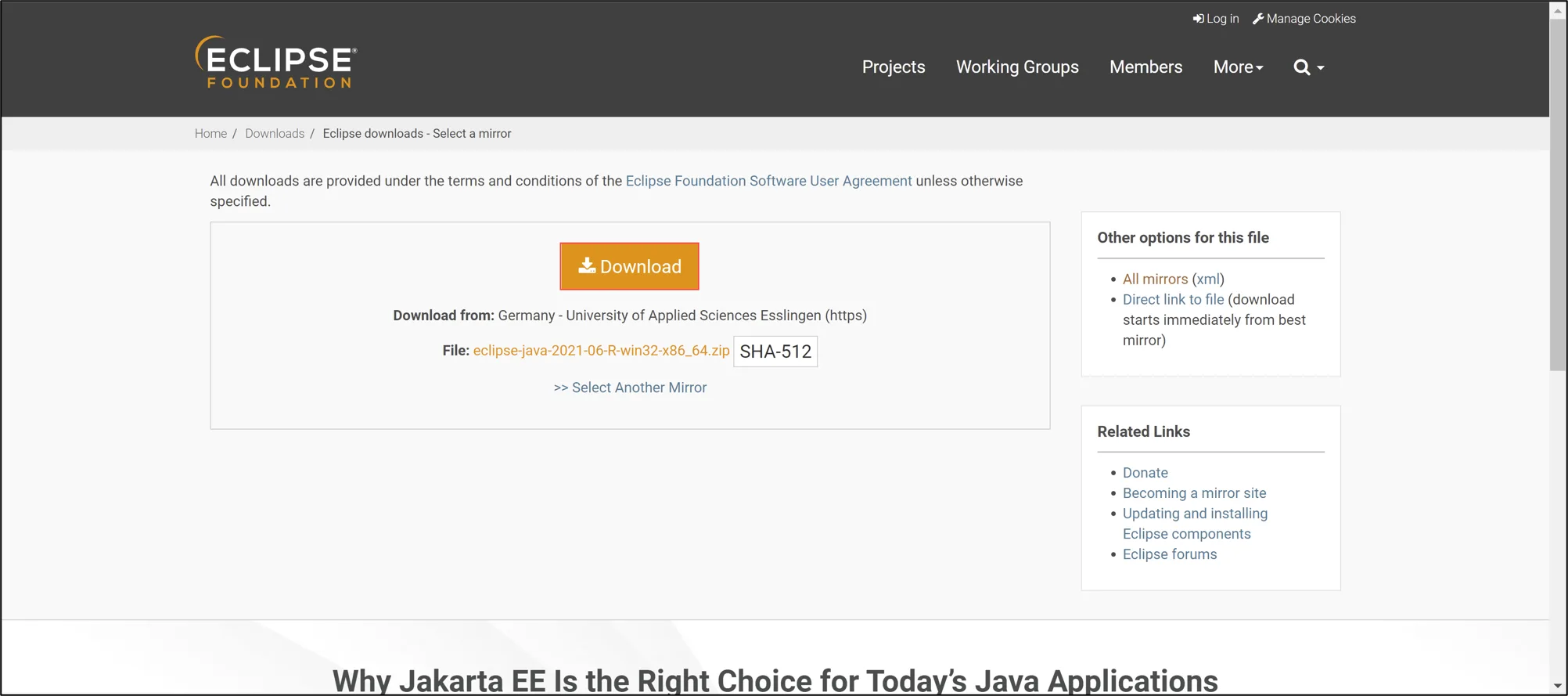 Eclipse Installer Run